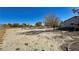 Large backyard with gravel and sparse vegetation at 3721 S Sagebrush Ave, Pahrump, NV 89048