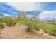 Landscaped yard with mature trees and desert landscape at 11534 Glowing Sunset Ln, Las Vegas, NV 89135