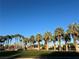 Community playground with palm trees and play equipment at 6209 Lenaking Ave, Las Vegas, NV 89122