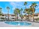 Community pool with lounge chairs and palm trees at 904 Boulder Springs Dr # 102, Las Vegas, NV 89128