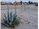 Gravel lot with chain link fence and agave plant at 5830 Bonnie St, Pahrump, NV 89048