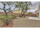 Backyard with gravel, trees, and a concrete patio at 10810 Porto Foxi St, Las Vegas, NV 89141