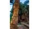 Landscaped backyard with palm trees and a carved totem pole at 2212 Plaza De La Candela, Las Vegas, NV 89102