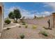 Landscaped backyard with a pathway and wall at 897 Las Palomas Dr, Las Vegas, NV 89138