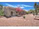 Spacious backyard with desert landscaping and a large cactus at 3013 Sungold Dr, Las Vegas, NV 89134