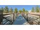 Community footbridge over a waterway with metal railings at 510 Rafkin Pl, Henderson, NV 89052