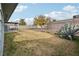 Large backyard with grassy area and mature trees at 2058 Citroen St, Las Vegas, NV 89142