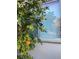 Lush orange tree with ripe fruit near window at 5 Clear Crossing Trl, Henderson, NV 89052