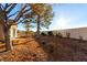 Backyard with gravel, trees, and a short wall at 2247 Sun Cliffs St, Las Vegas, NV 89134