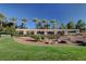 Landscaped area with covered walkway in Sun City Anthem at 2603 Savannah Springs Ave, Henderson, NV 89052