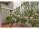 Backyard with lush greenery and a view of the community pool at 510 Delfern Ln, Las Vegas, NV 89169