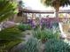 Landscaped garden with colorful irises and desert plants at 2205 Alia Ct, Las Vegas, NV 89102