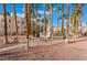 Landscaped community courtyard with benches and palm trees at 5000 Red Rock St # 201, Las Vegas, NV 89118