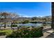 Scenic view of lake, landscaping, and mountains at 10563 Premia Pl, Las Vegas, NV 89135