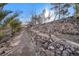 Stone pathway winds through a desert landscape with mature trees at 531 N Milan St, Henderson, NV 89015