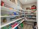 Well-organized pantry with ample shelving for storage at 996 Alverstone Ct, Henderson, NV 89002