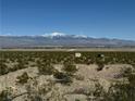 Desert landscape with distant mountains and small structures at , Pahrump, NV 89060