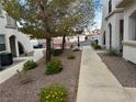 Landscaped walkway leading to building entrance at 50 Aura De Blanco St # 3104, Henderson, NV 89074