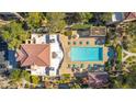 Overhead view of community pool, lounge chairs, and surrounding landscaping at 1909 Rio Canyon Ct # 207, Las Vegas, NV 89128