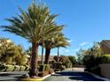 Gated community entrance with palm trees and landscaping at 7110 Crowntop Cir, Las Vegas, NV 89118