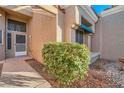 Front entry with walkway, landscaped area, and a security door at 2736 Desert Crystal Dr, Las Vegas, NV 89134