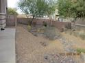 Landscaped backyard with gravel and desert plants at 716 Solitude Point Ave, Henderson, NV 89012