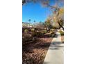 Landscaped area with pathway and desert plants at 3023 Sunset Harbor Ct, North Las Vegas, NV 89031