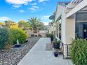 Landscaped side yard with pathway, desert plants, and palm tree at 2203 High Mesa Dr, Henderson, NV 89012