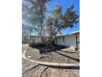 Mature trees and gravel landscaping in the front yard at 3955 Ventura Way, Las Vegas, NV 89121