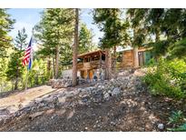 Rustic log cabin home nestled in a wooded area at 4075 Cougar Ridge Trl, Mount Charleston, NV 89124