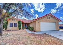 Single-story house with a two-car garage and landscaped yard at 3610 Mount Charleston Dr, Pahrump, NV 89048