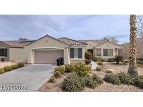 Single-story home with attached garage and well-maintained landscaping at 1652 Black Fox Canyon Rd, Henderson, NV 89052