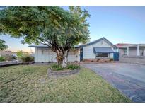 Charming single story home with landscaped yard and a large tree at 203 S Texas Ave, Henderson, NV 89015