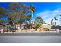 Single-story home with stone facade and mature landscaping at 6742 Palmyra Ave, Las Vegas, NV 89146