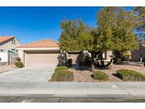 Single story home with tan exterior and landscaped yard at 8916 Desert Mound Dr, Las Vegas, NV 89134